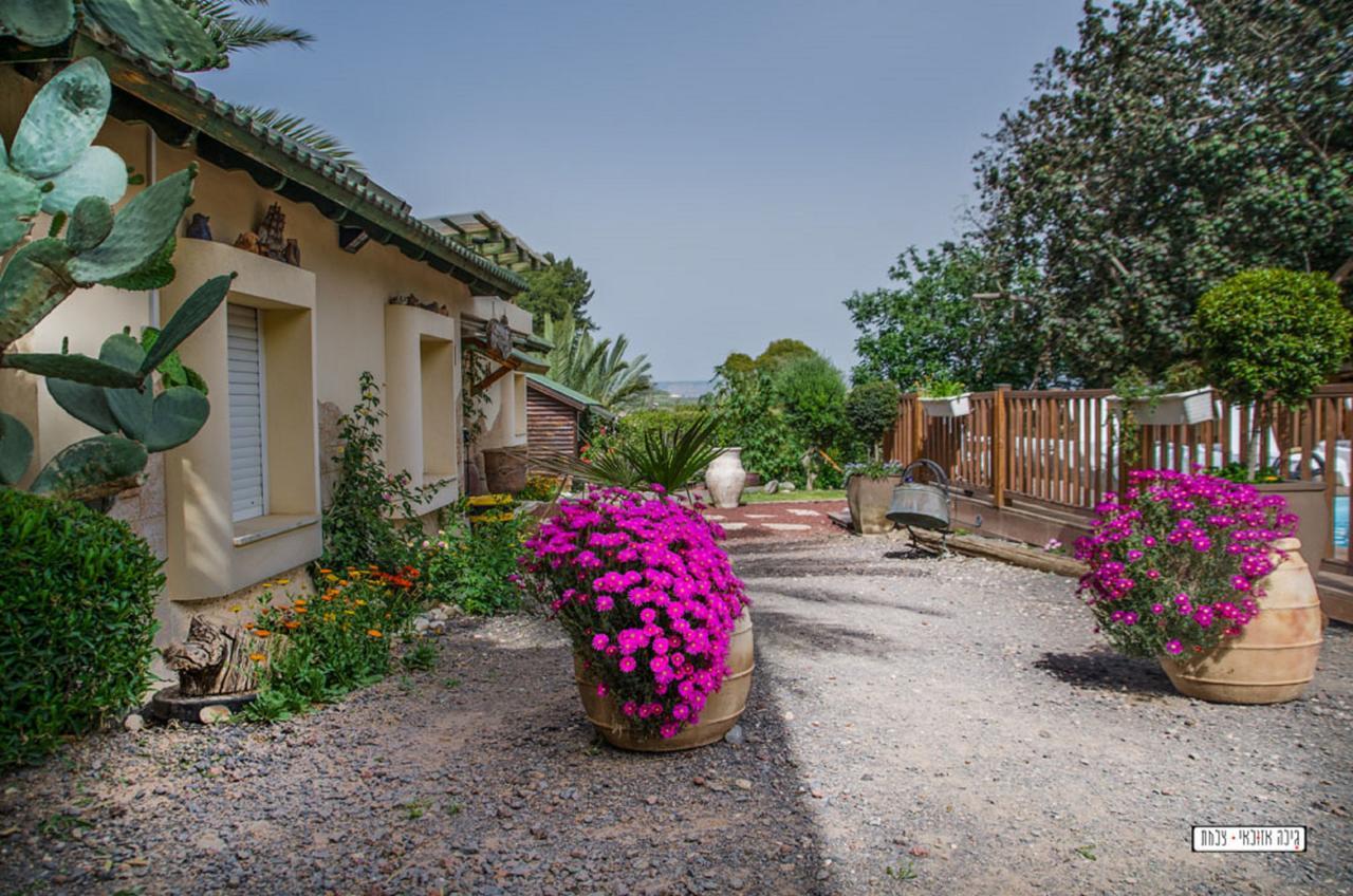 Moon Light Yavne'El Villa Kültér fotó